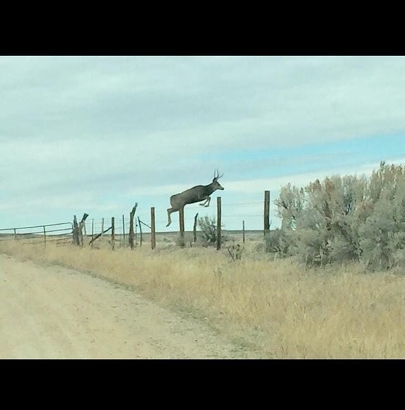 Meet your Posher, Robert - Picture 1 of 1